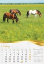 "MOJA ZLATNA SLAVONIJA i BARANJA"  13 list., dim: 33x55 cm, PVC vrećica, P/40, color kalendar
