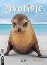 "ŽIVOTINJE" 13list., dim: 24x53,5 cm, PVC vrećica, P/50, color kalendar