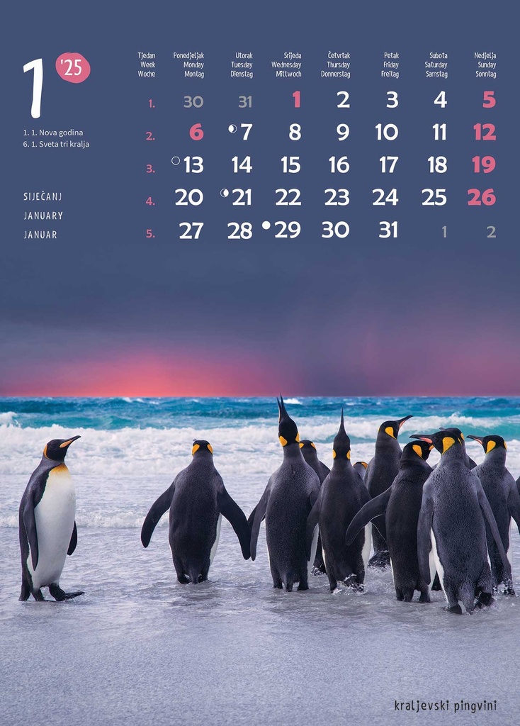 "ŽIVOTINJE" 13list., dim: 24x53,5 cm, PVC vrećica, P/50, color kalendar