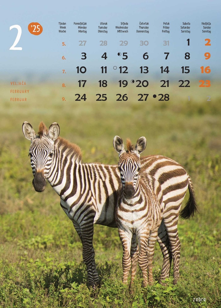 "ŽIVOTINJE" 13list., dim: 24x53,5 cm, PVC vrećica, P/50, color kalendar