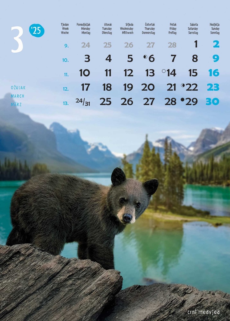 "ŽIVOTINJE" 13list., dim: 24x53,5 cm, PVC vrećica, P/50, color kalendar