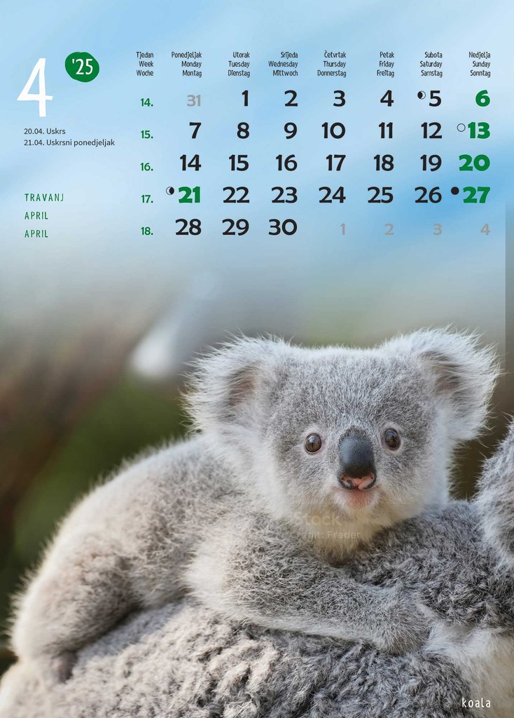 "ŽIVOTINJE" 13list., dim: 24x53,5 cm, PVC vrećica, P/50, color kalendar