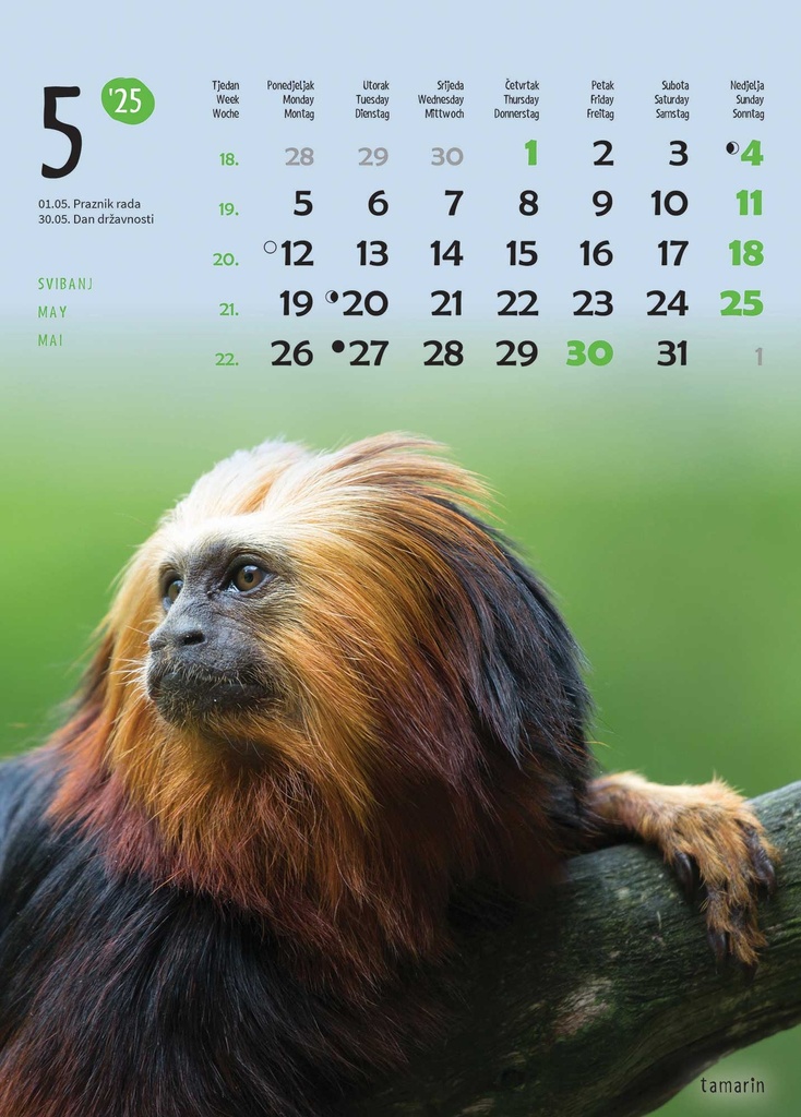 "ŽIVOTINJE" 13list., dim: 24x53,5 cm, PVC vrećica, P/50, color kalendar