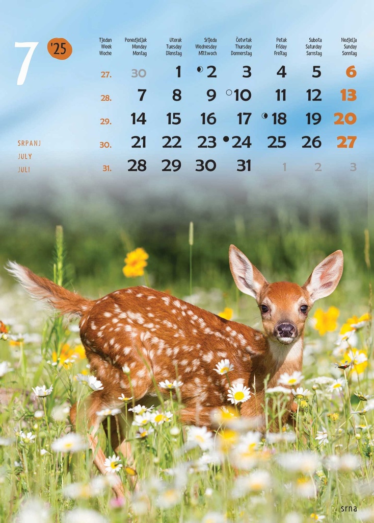 "ŽIVOTINJE" 13list., dim: 24x53,5 cm, PVC vrećica, P/50, color kalendar