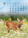 "ŽIVOTINJE" 13list., dim: 24x53,5 cm, PVC vrećica, P/50, color kalendar
