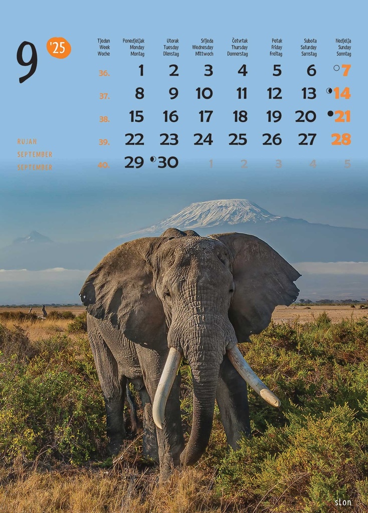 "ŽIVOTINJE" 13list., dim: 24x53,5 cm, PVC vrećica, P/50, color kalendar