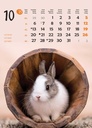 "ŽIVOTINJE" 13list., dim: 24x53,5 cm, PVC vrećica, P/50, color kalendar