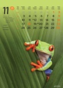 "ŽIVOTINJE" 13list., dim: 24x53,5 cm, PVC vrećica, P/50, color kalendar
