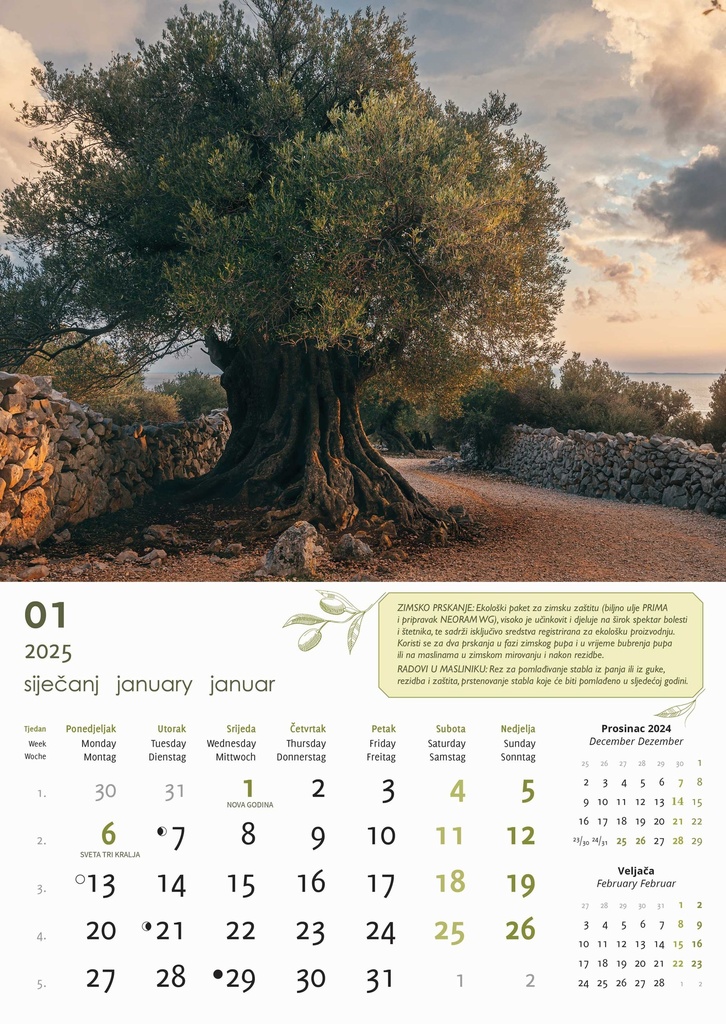 "MASLINE" 13 list., dim: 30,5x50 cm, PVC vrećica, P/50, color kalendar