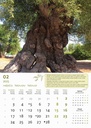 "MASLINE" 13 list., dim: 30,5x50 cm, PVC vrećica, P/50, color kalendar