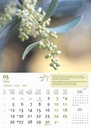 "MASLINE" 13 list., dim: 30,5x50 cm, PVC vrećica, P/50, color kalendar