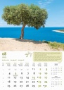 "MASLINE" 13 list., dim: 30,5x50 cm, PVC vrećica, P/50, color kalendar