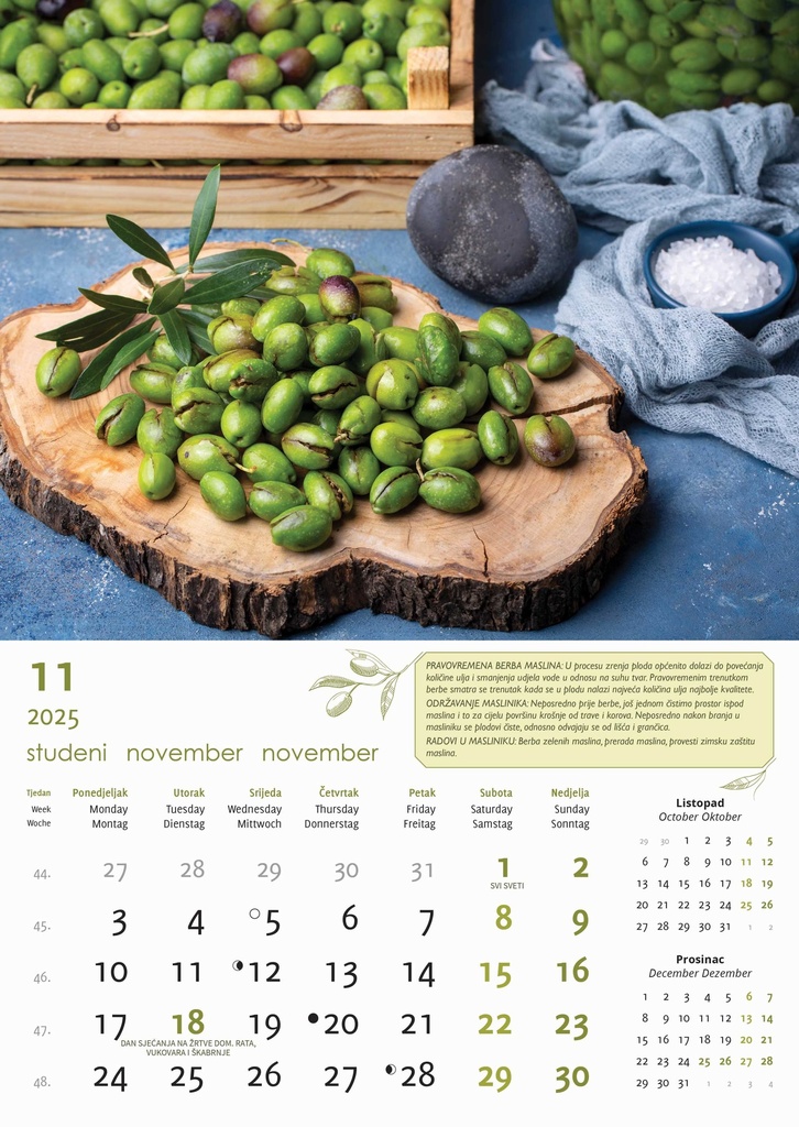 "MASLINE" 13 list., dim: 30,5x50 cm, PVC vrećica, P/50, color kalendar