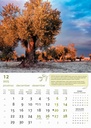 "MASLINE" 13 list., dim: 30,5x50 cm, PVC vrećica, P/50, color kalendar