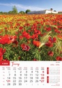"PRIRODA" 13 list., dim: 30,5x50 cm, PVC vrećica, P/50, color kalendar