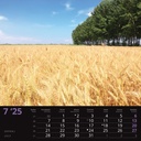 "SEOSKA IDILA" 13 list., dim:  33x40cm, PVC vrećica, P/50, color kalendar