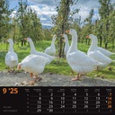 "SEOSKA IDILA" 13 list., dim:  33x40cm, PVC vrećica, P/50, color kalendar