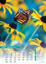 "IGRE BOJA" 13 sheets., format: 30,5x50 cm, PVC bag, P/50, color calendar