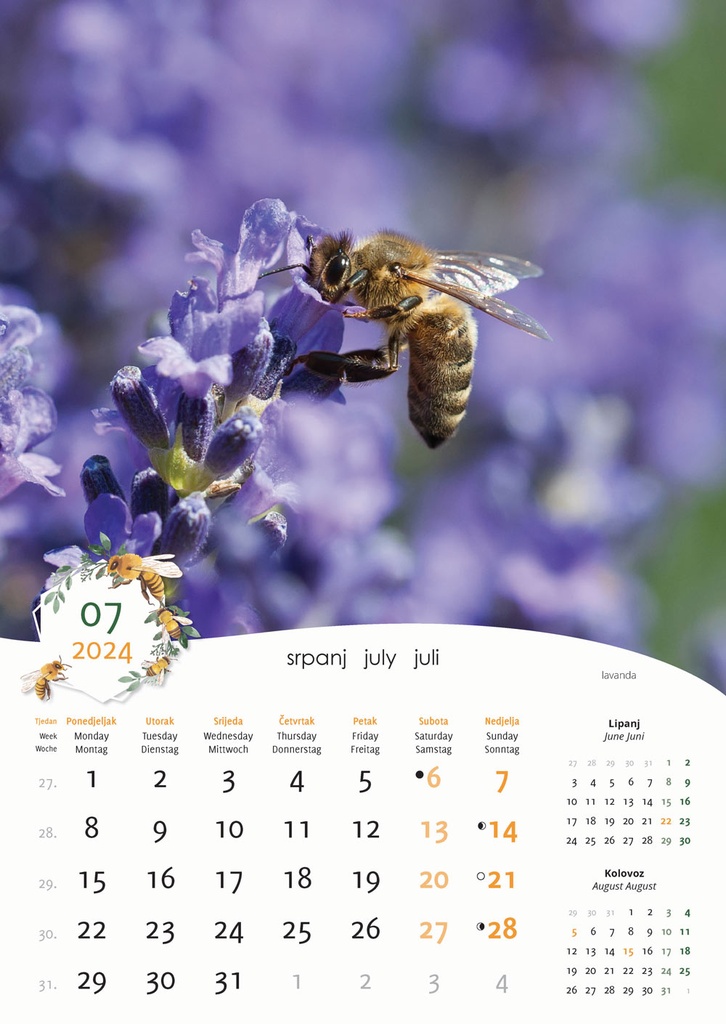 "PČELE" 13 list., dim: 30,5x50 cm, PVC vrećica, P/50, color kalendar