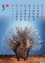 "ŽIVOTINJE" 13list., dim: 24x53,5 cm, PVC vrećica, P/50, color kalendar