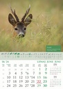"KALENDAR LOVA" 13 sheets, format: 30,5x50 cm, PVC bag, P/50, color calendar