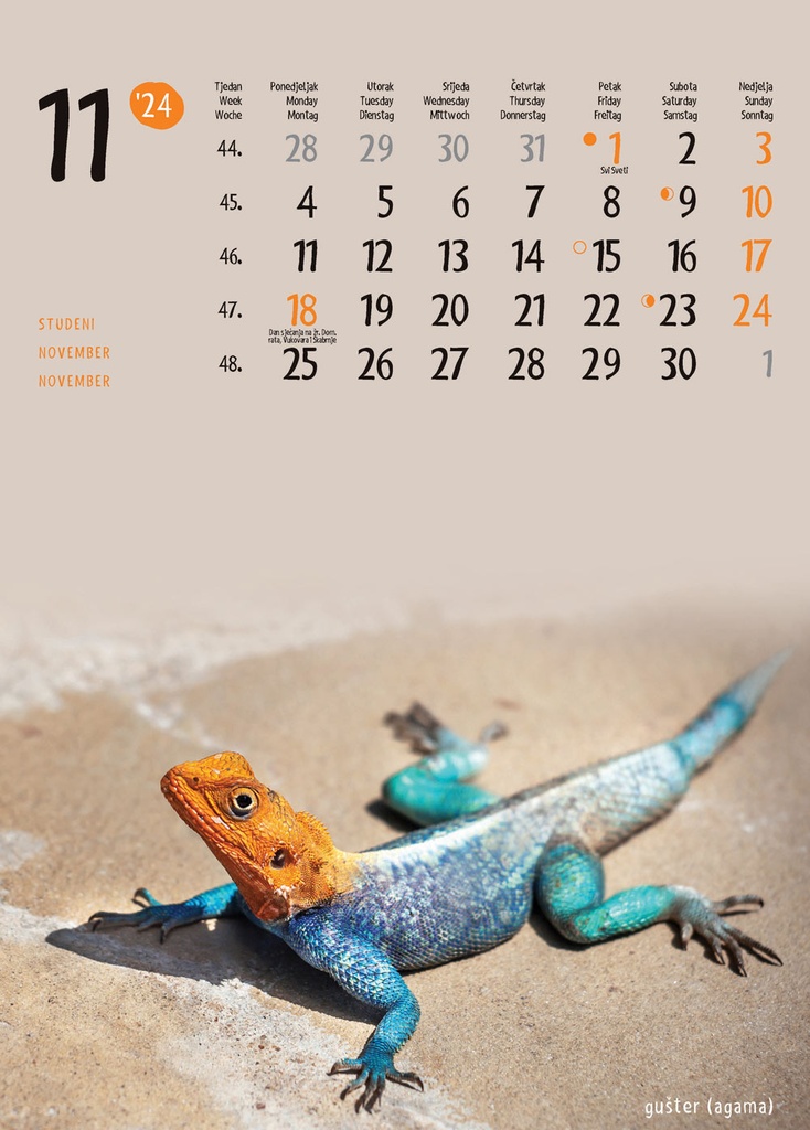 "ŽIVOTINJE" 13list., dim: 24x53,5 cm, PVC vrećica, P/50, color kalendar