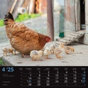 "SEOSKA IDILA" 13 sheets, format:  33x40cm, PVC bag, P/50, color calendar
