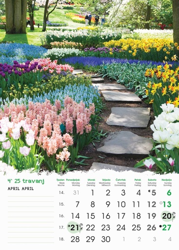 [000131] "VRTOVI" 13 list.,  dim: 24x53,5 cm, PVC vrećica, P/50, color kalendar