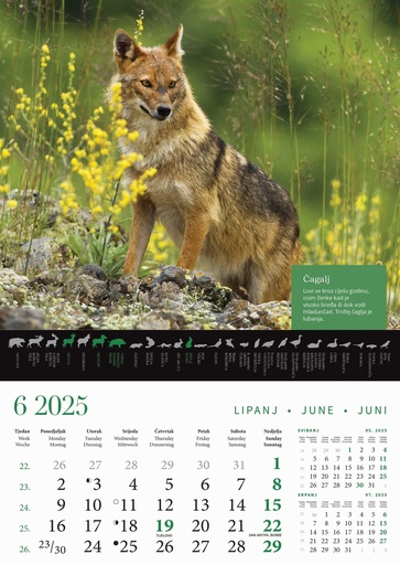 [000191       ] "KALENDAR LOVA" 13 sheets, format: 30,5x50 cm, PVC bag, P/50, color calendar