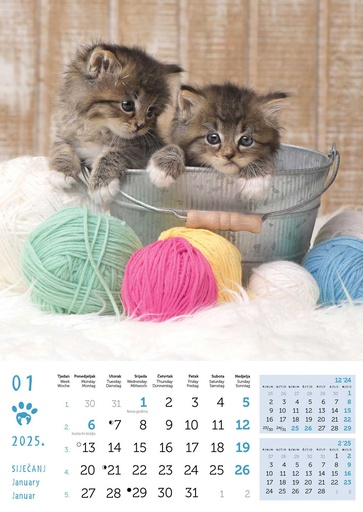 [000220] "PSI i MAČKE" 13 sheets, format: 30,5x50 cm, PVC bag, P/50, color calendar 