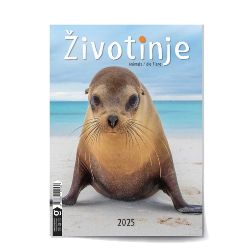 [0011310      ] "ŽIVOTINJE" 13 sheets, format: 24x53,5 cm, PVC bag, P/50, color calendar, NOT BOUND